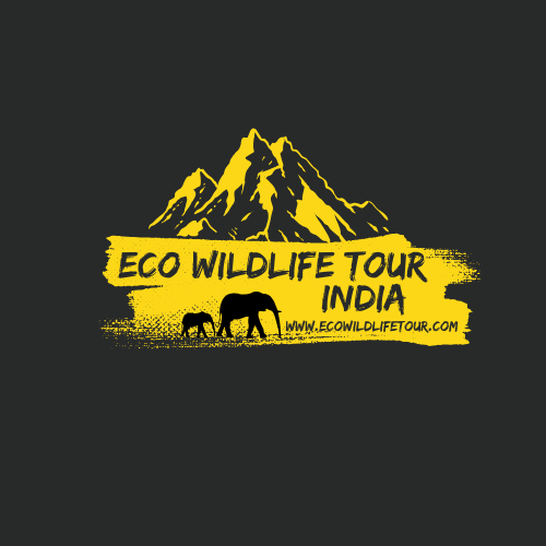 Eco Wildlife Tour logo