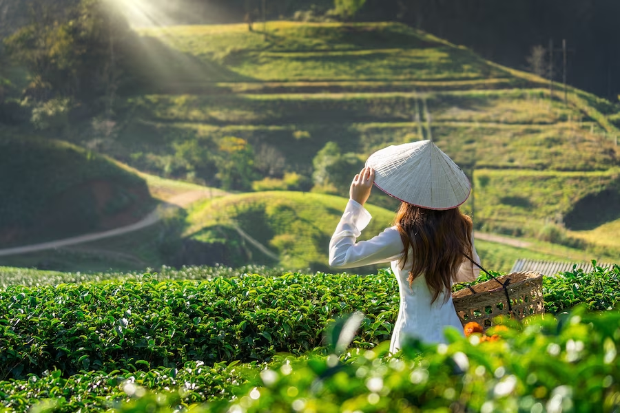 Rural Tourism Development
